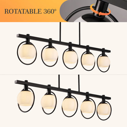5-Light Adjustable Chandelier with Glass Shades Black Metal