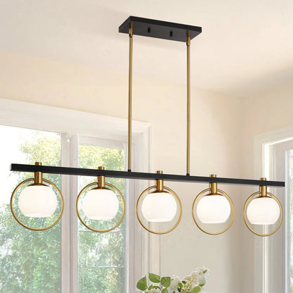 5-Light Adjustable Chandelier with Glass Shades Black Metal